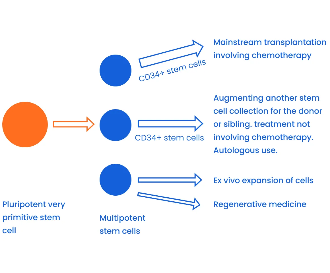 38f9d8da3fac79de6f0ee91cfbb23ca56885a775