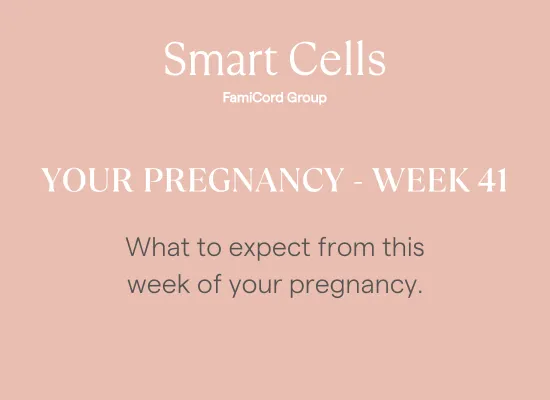 Your Pregnancy at Week 41-42
