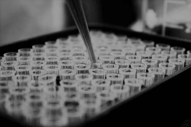 Long Term Storage of Cord Blood