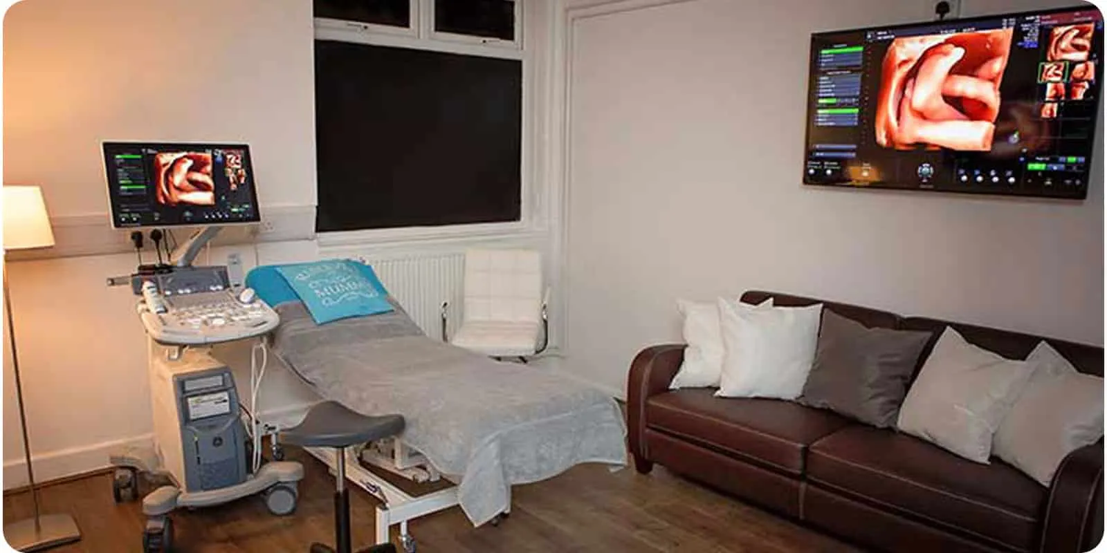 Window-to-the-Womb-Hitchin