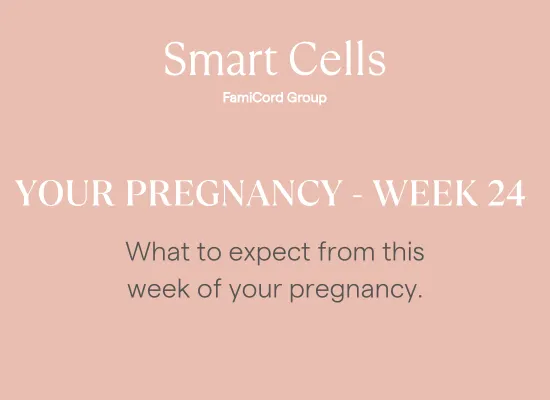Your Pregnancy - Week 24