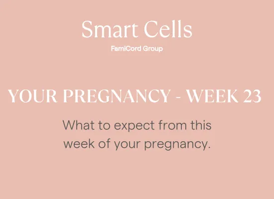 Your Pregnancy - Week 23