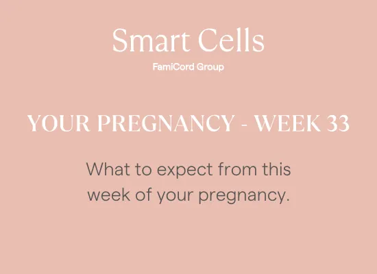 Your Pregnancy at Week 33