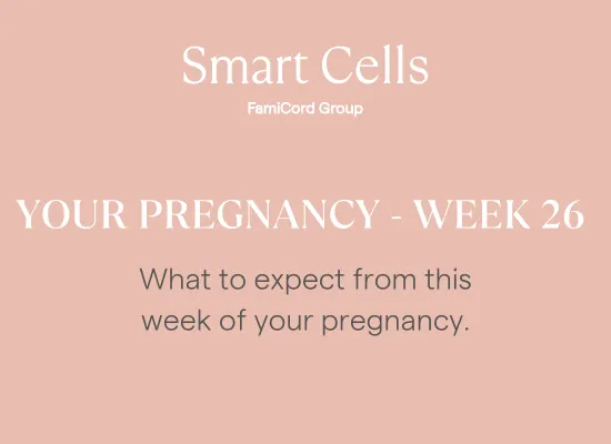 Your Pregnancy at Week 26
