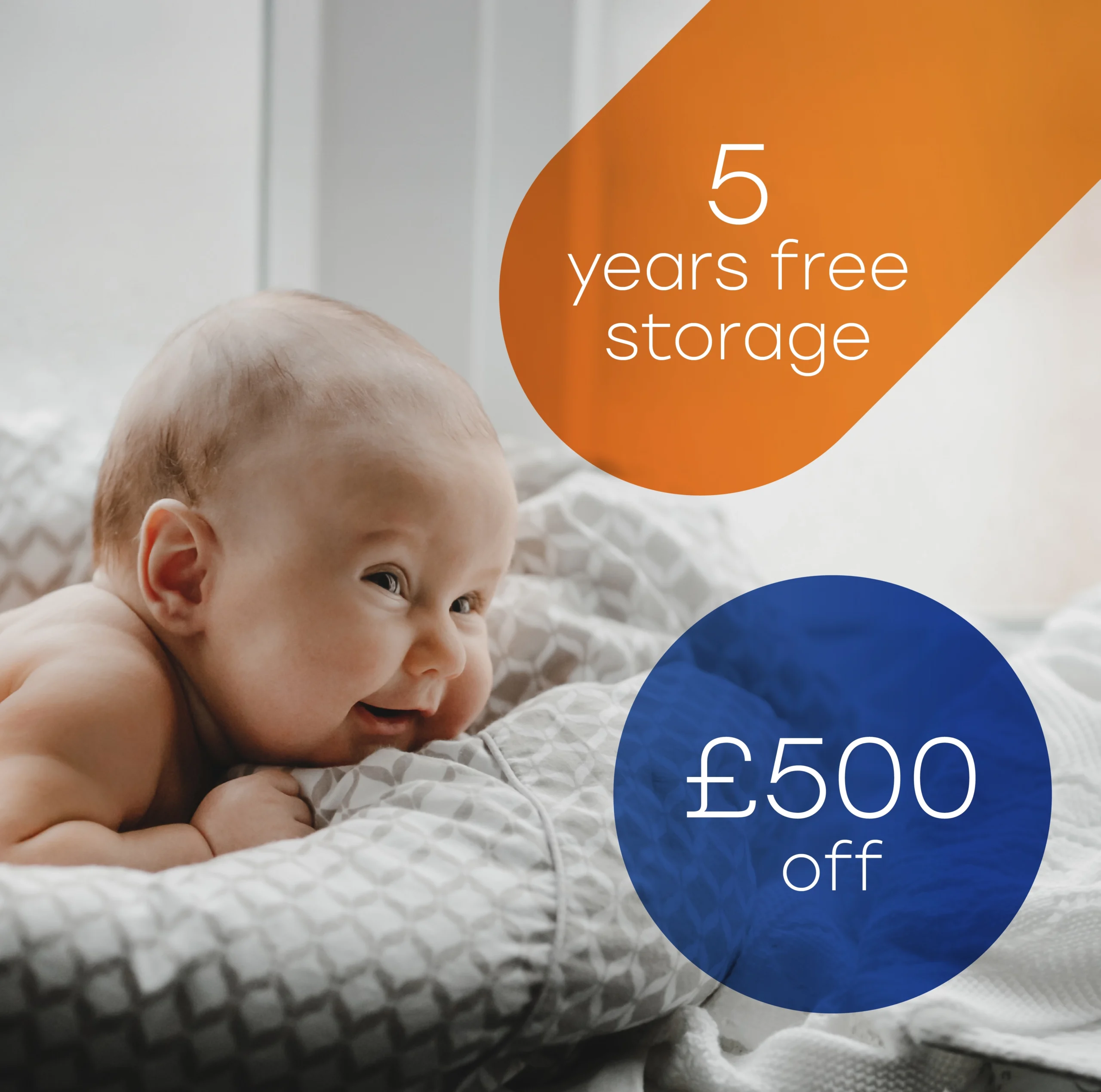 Carousel – £500 + 5 yr (2025.10) – desktop