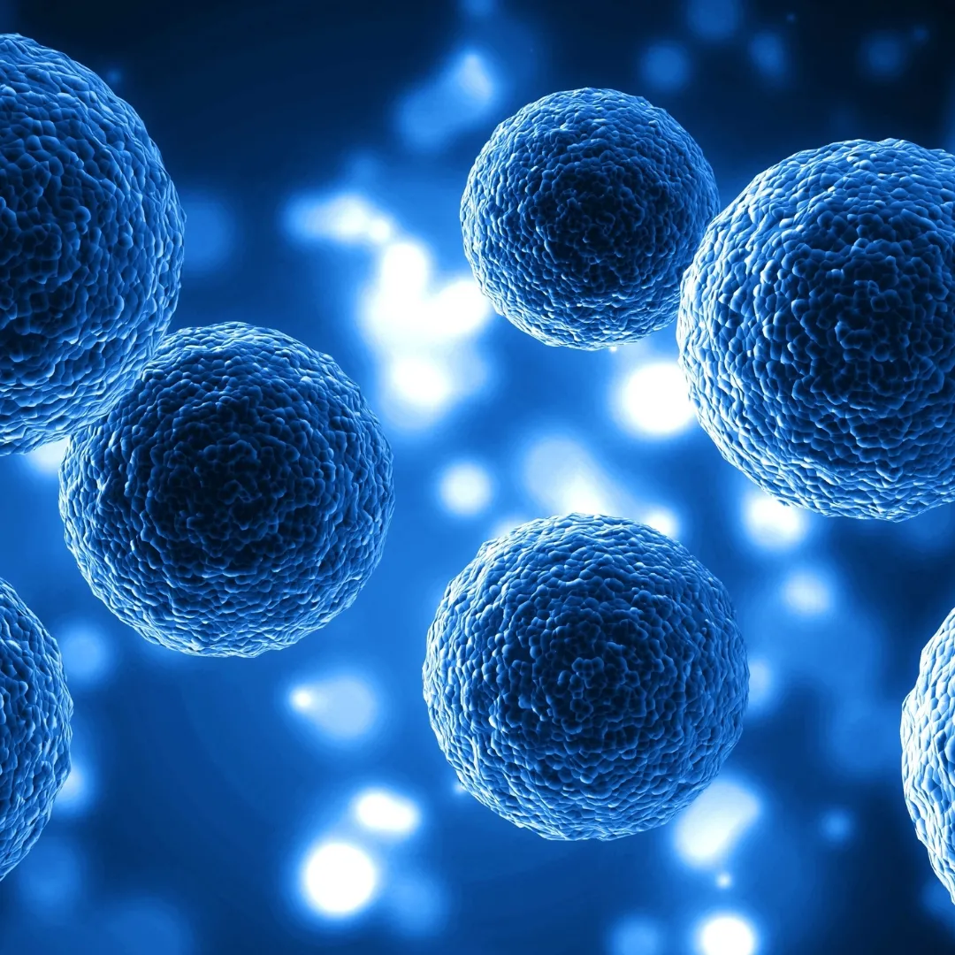 The Different Types of Stem Cells Explained